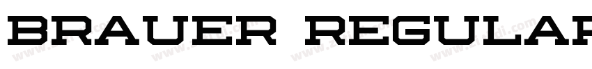 Brauer Regular字体转换